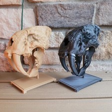 Sabertooth Tiger Skull,  Sabertooth Tiger, Saber Tooth Tiger, Statue of Animal