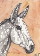 ACEO original Watercolor Art Card HORSE hybrid dapple gray Mare Saddle MULE