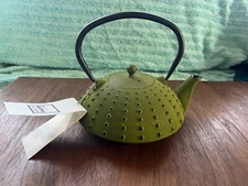 NWT Teapot Tea Infuser Textured Green Cast Iron Kettle - Well Equipped Kitchen