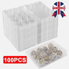 Clear Quail Egg Box Plastic Boxes Cartons / Flat Top / 12 Holes / Pack of 100