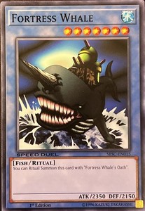 Fortress Whale | eBay