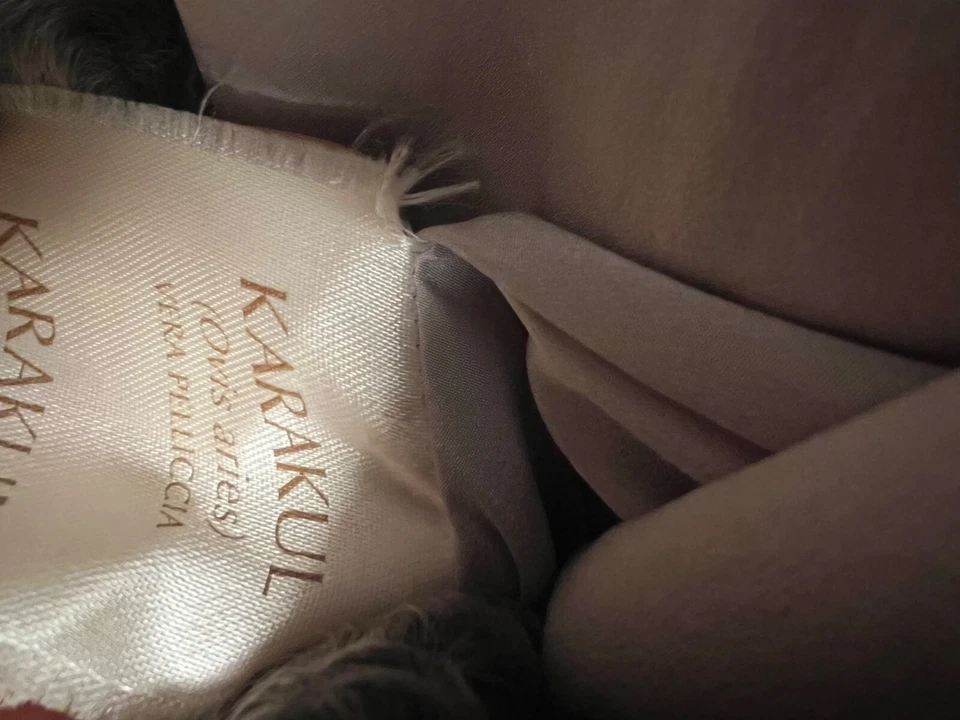 Abrigo de piel de cordero Karakul color plata para mujer hasta la cintura "48" Foto 3 de 4