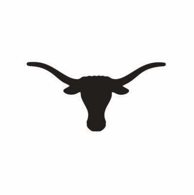 Texas Longhorns Football NCAA Vinyl Die Cut Car Decal Sticker FREE SHIPPING