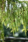 Bild 7 von 13