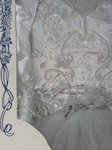 Vintage Wedding Dress/Gown In Vacuum Sealed Box - Picture 4 of 13
