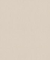 Rasch Tapete Selection 612332 Braun Hellbraun Uni Vliestapete Vlies