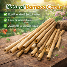 Strong Heavy Duty Professional Bamboo Plant Support Garden Canes | 2ft - 6ft