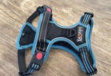 Small Dog Harness (blue and black)