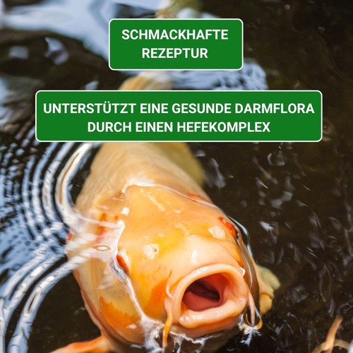 Koifutter 5 kg 6 mm Koi Futter Teichfutter schwimmend KENKOU BAKUDAI - Bild 5 von 10
