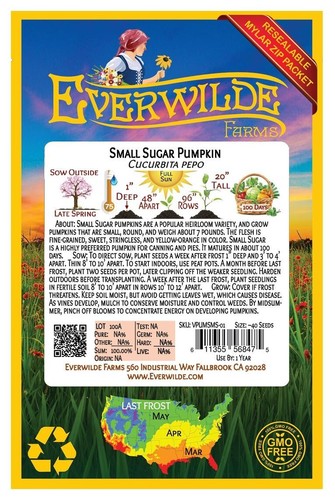 40 Small Sugar Pumpkin Seeds - Everwilde Farms Mylar Seed Packet - Picture 2 of 3