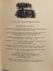 Picture 12 of 20