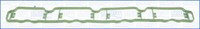 Ajusa 13205700 Dichtung, AnsaugkrüMmer For Audi KTM Seat Skoda VW