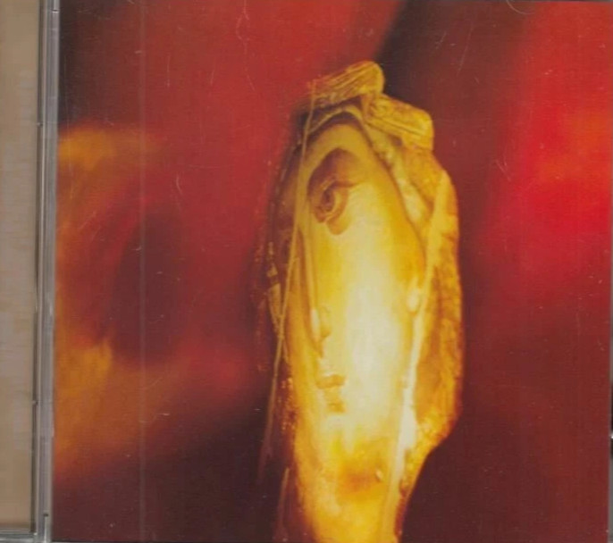 The Protecting Veil - Cello Suite No 3 : Tavener CD
