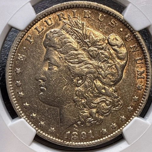 1891 CC $1 Morgan Silver Dollar NGC XF Details Cleaned Carson City nice Toning