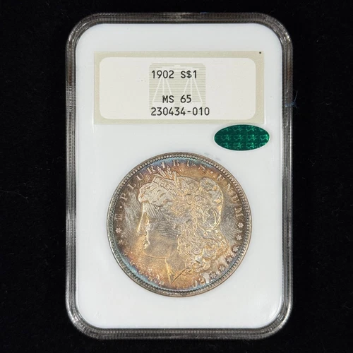 1902 $1 MS65 CAC Toned Morgan Silver Dollar - NGC Fatty - Beautiful Toning PQ