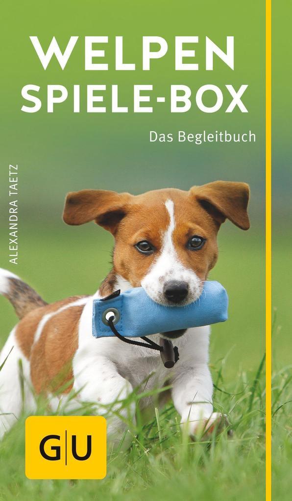 Thumbnail - Welpen-spiele-box | Alexandra Taetz | 2013 | Deutsch