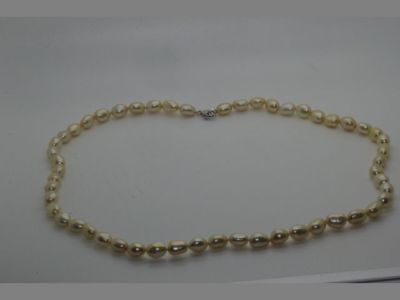 Honora Champagne Sterling Silver Cultured Freshwater Pearl Necklace 24'' NWOT