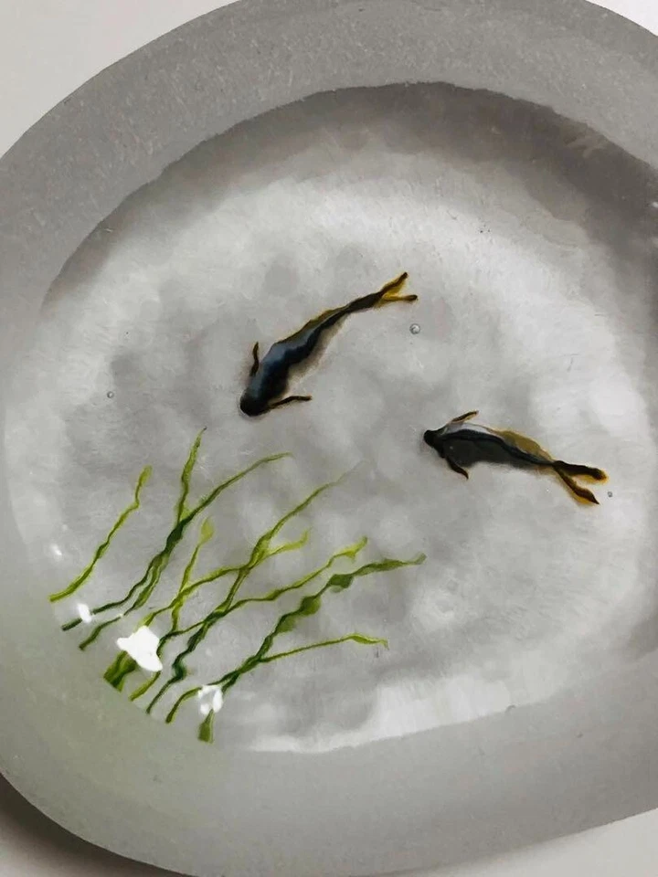 Peso de papel pedra de vidro Yuko Kubo peixe doce lagoa de peixes Ayu água Japão - Imagem 3 de 4