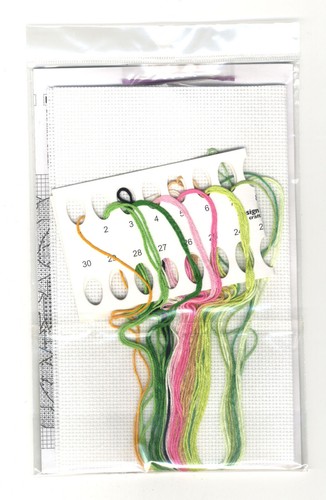 Counted Cross Stitch Kit ~ Design Works Cactus (Eriosyce) #DW3292 - Picture 5 of 5