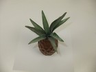 Picture 2 of 10