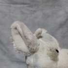 Picture 3 of 11
