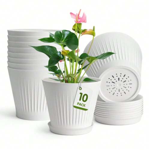 6In White Plastic Plant Pots w/Trays,Indoor Garden Planter for Succulents,Cactus