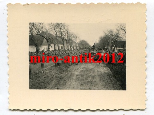 Foto, Panzer-Regiment 10, Panzer 38t, Einmarsch in Ruma, Serbien, b