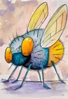 ACEO Originalwatercolor ink colorful  Art  Insect  FLY  Handpainted