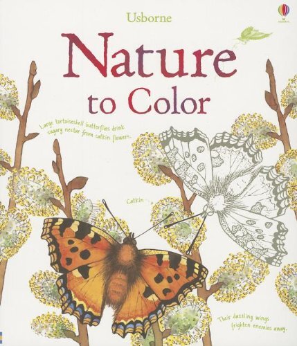 Natur zu Farbe - Bild 1 von 2