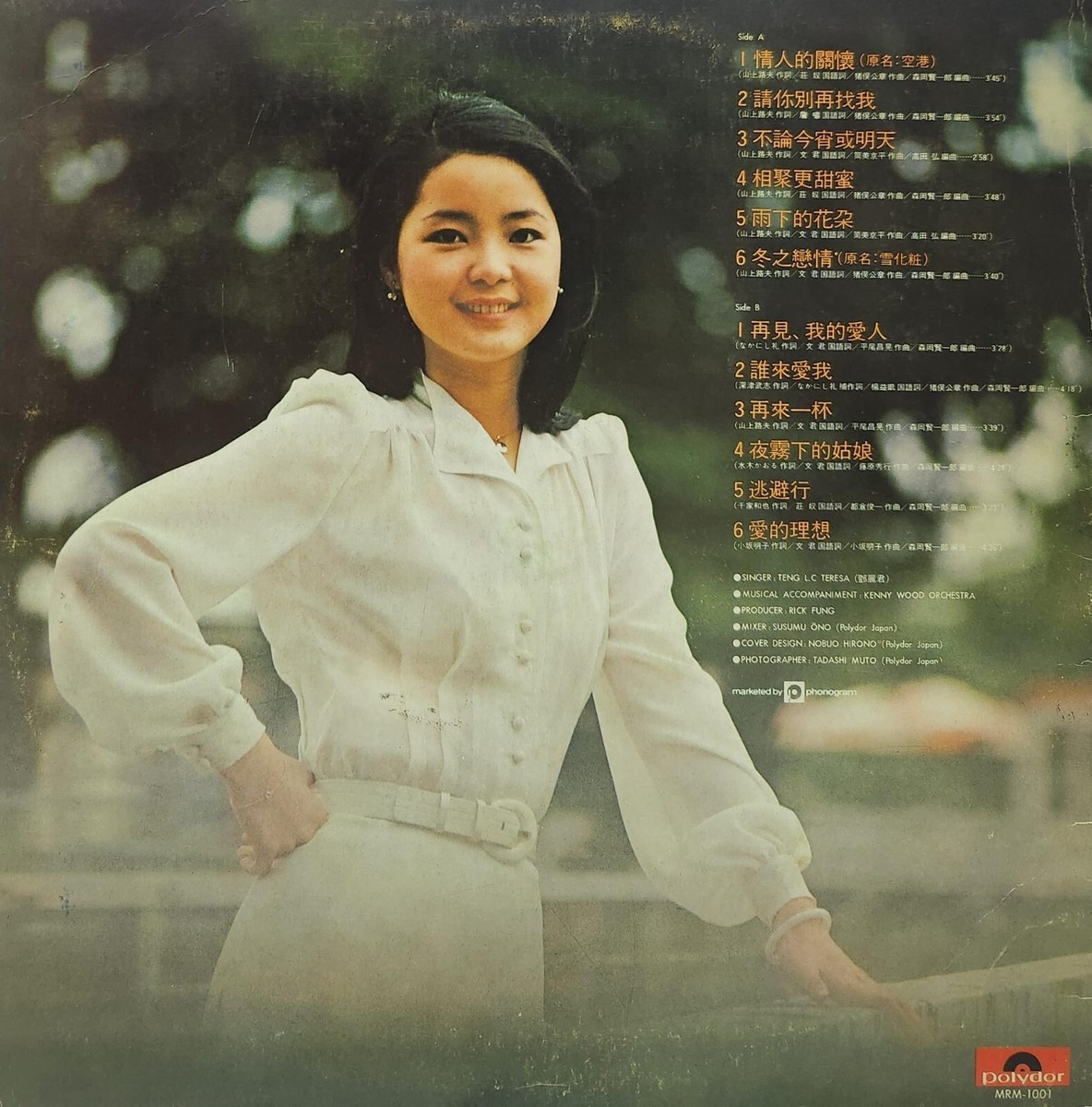 鄧麗君島國之情歌再見我的愛人黑膠唱片Teresa Teng LP (港膠所