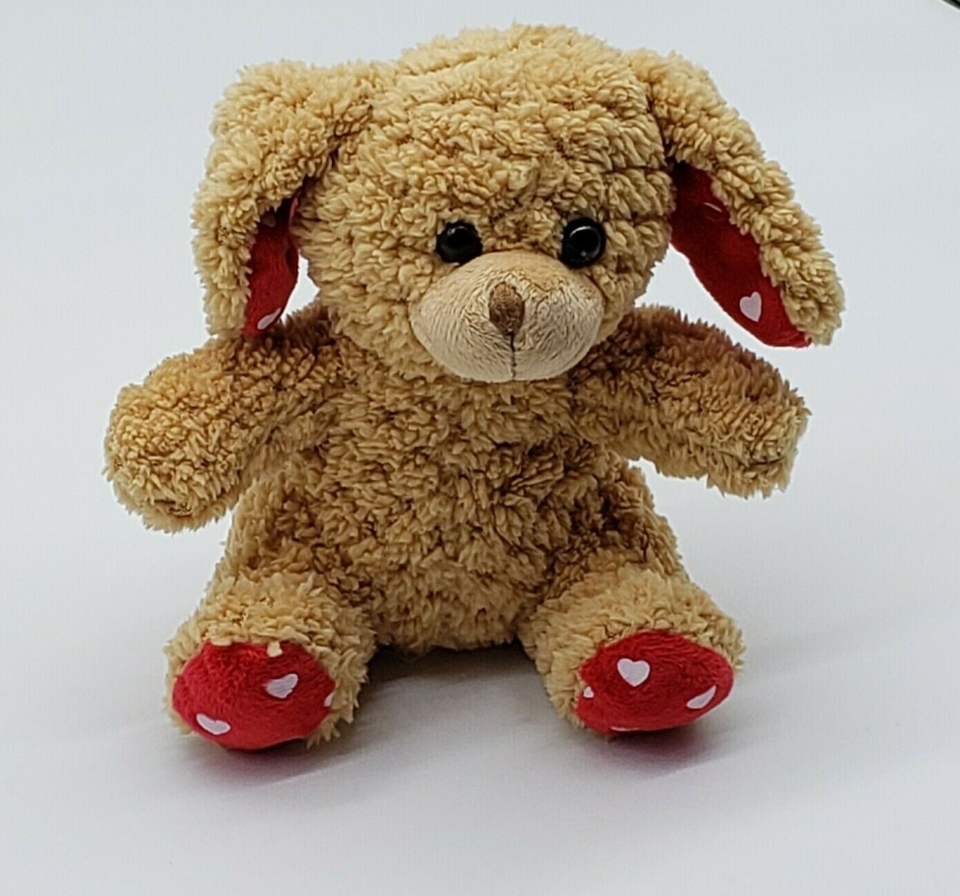 Foto 10 di 10