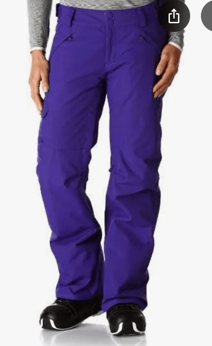 The North Face Freedom snow pants lapis blue size xs