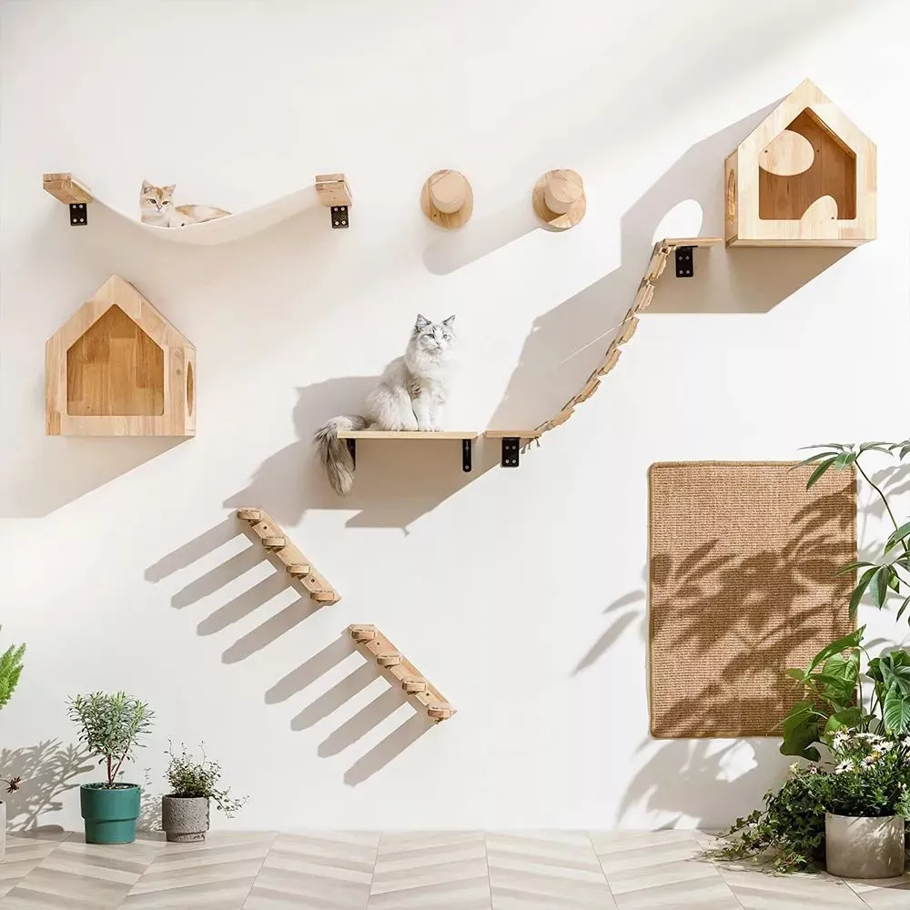Cat wall climbing clearance shelves