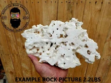 10lbs Shelf Rock Large 9"-14" Aragonite, Lightweight, Porous, Aquariums Live Dry