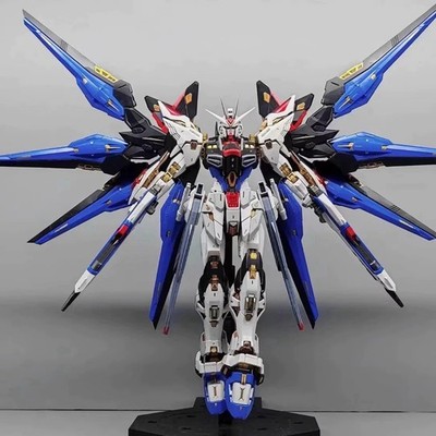 Changlong MGEX 1/100 Strike Freedom - Model Kit | eBay