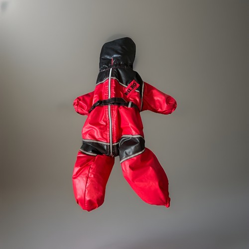Alpine All-Weather Dog Coat. Size Small/Medium. Red and Black. - Picture 3 of 7