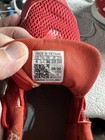 Foto 15 di 16