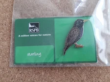 RSPB STARLING GREEN Card 5 Line TICKED BACK MVFN Charity Pin Badge