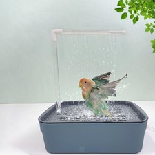 Baignoire automatique pour oiseaux, perroquet, inséparable, calopsitte, gris