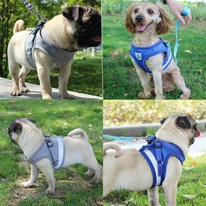 dog collar leash harness set