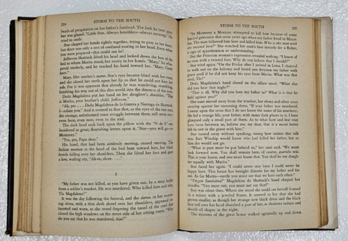 Storm To The South By Thelma Strabel 1944 hardcover dust jacket - Imagen 19 de 22