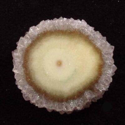 Stalactite Flower Slice Pendant Focal  Polished Both Sides ST54