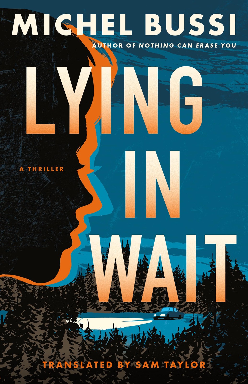 Lying in Wait: A Thriller,Bussi, Michel Michel Bussi,
