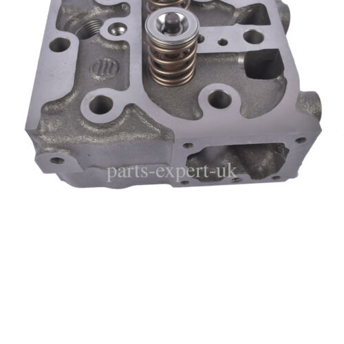 D1105 Cylinder Head with Gasket for Kubota RTV1100 RTV1100CW9 RTV1140CPX - Foto 14 di 14