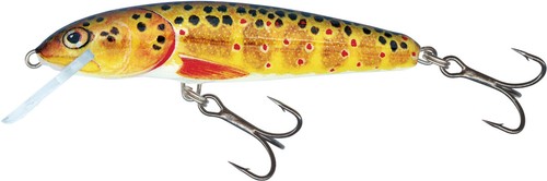 SALMO LURES MINNOW 5-6-7 cm ARTIFICIALE PESCA TROTA FLOATING SINKING HARD BAIT - Photo 11 sur 21