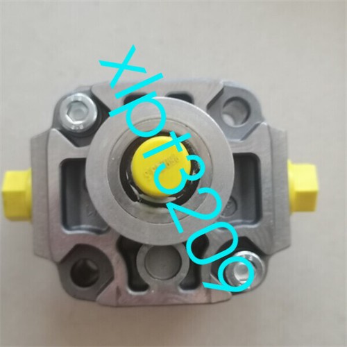 Pompe à engrenages Rexroth R900932136 PGF1-21/4.1RA01VP1 FedEx ou DHL - Photo 2/3