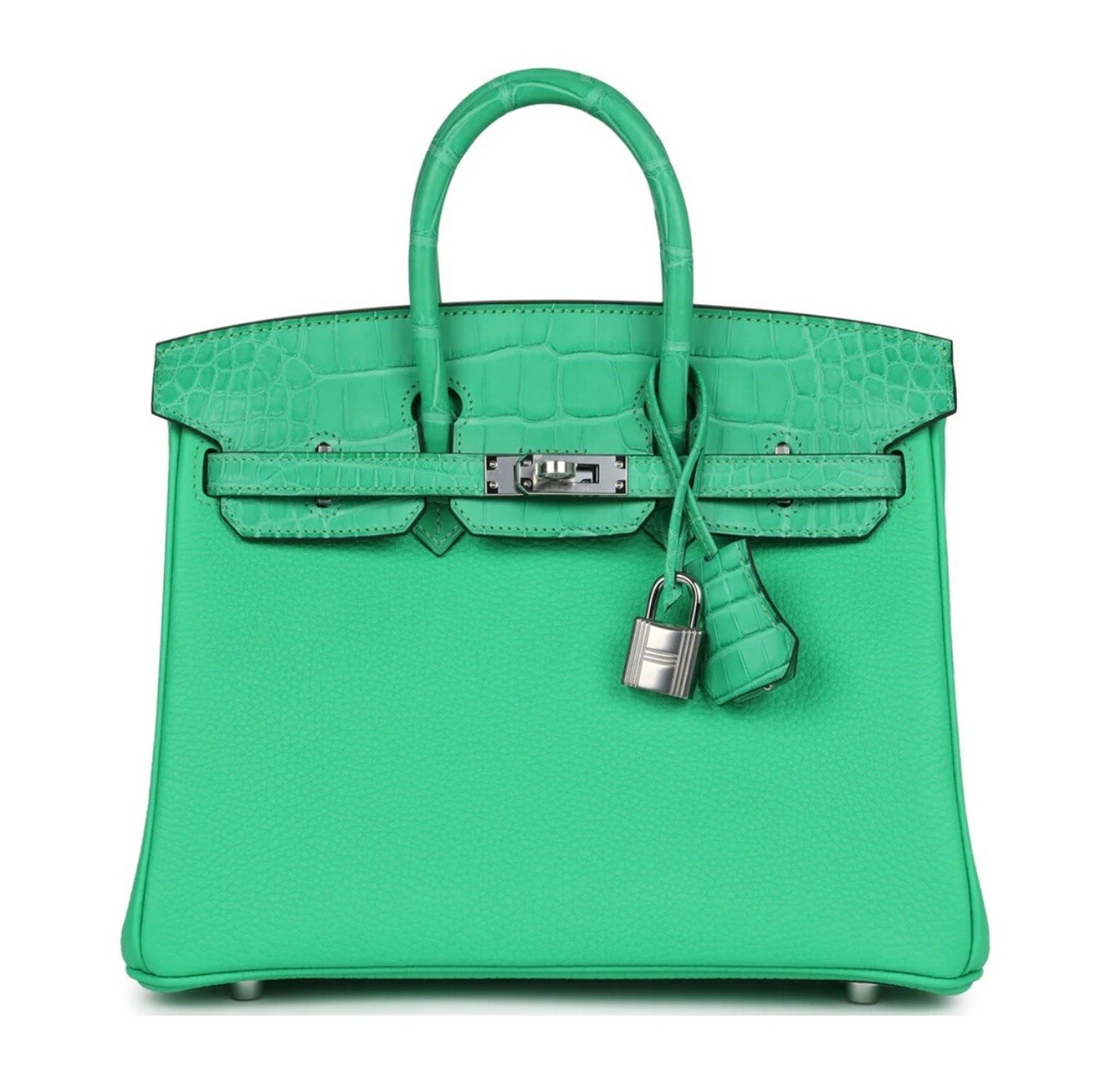 Healthcare Olive Green Birkin Bag Hermes Birkin 25 Touch Vert