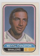 1975-76 O-Pee-Chee WHA Wayne Carleton #43 5q7