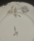 Picture 10 of 13