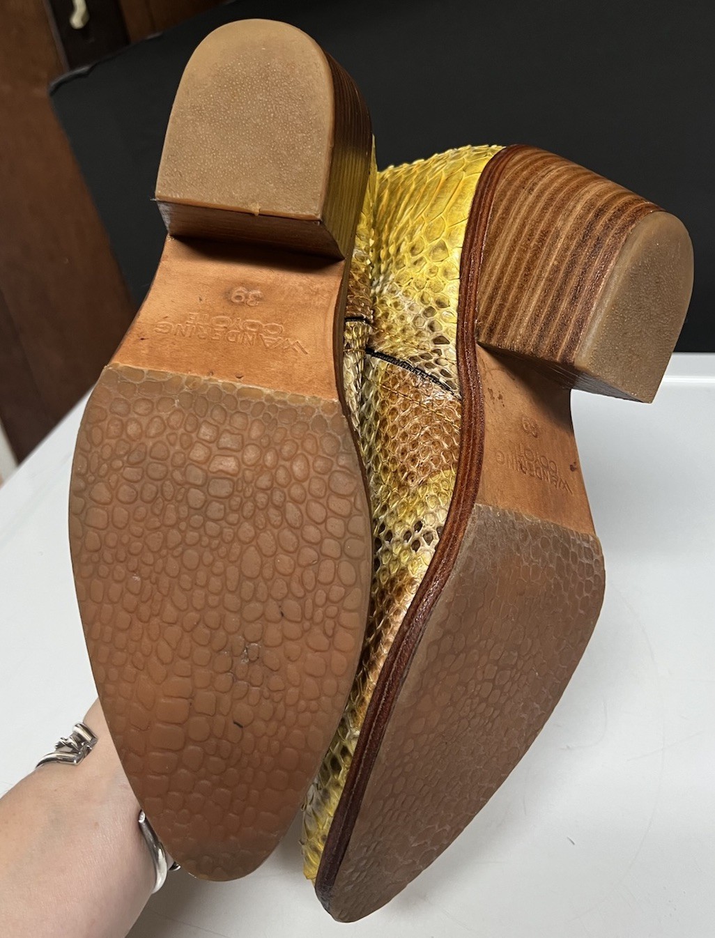 $220 Wandering Coyote Real Snake Python Bright Ye… - image 5